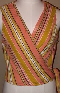 Multicolored vertical stripes top crop